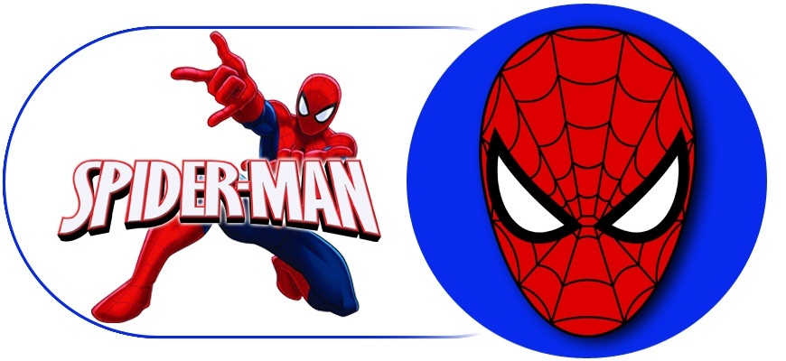 Décoration d'anniversaire thème Miraculous Ladybug